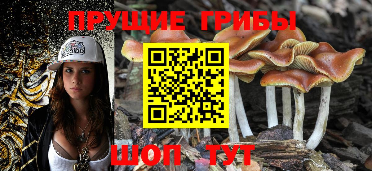 Галлюциногенные грибы MAGIC MUSHROOMS Десногорск