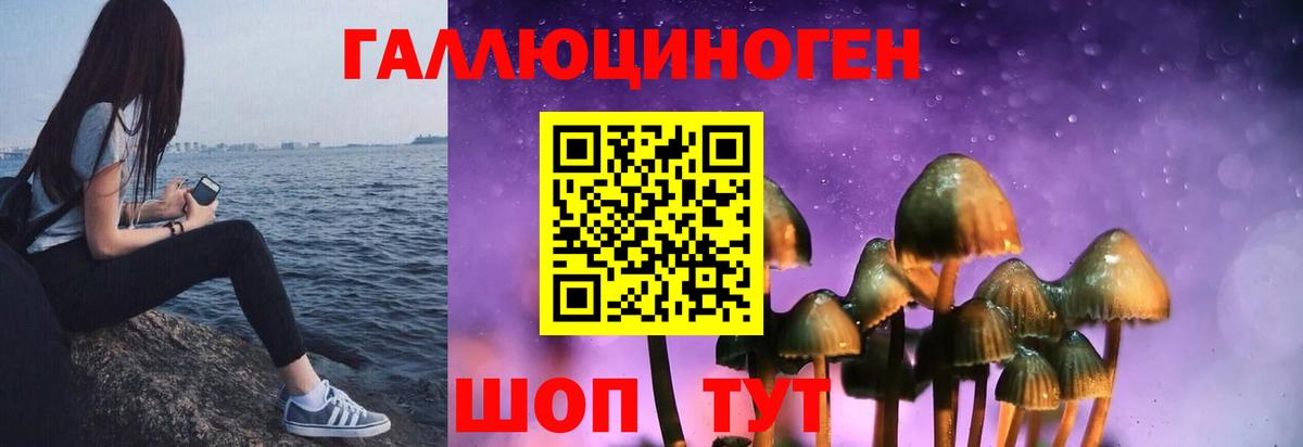 Десногорск  Псилоцибиновые грибы мицелий  Вход с VPN 